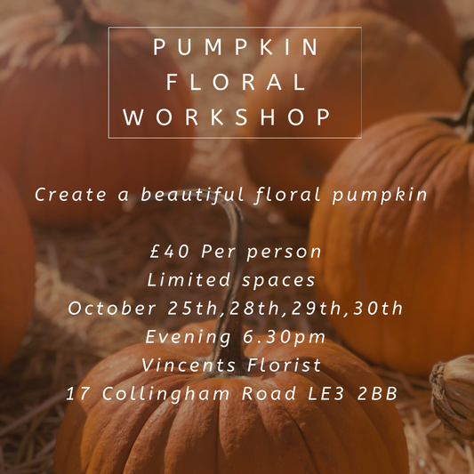 Pumpkin workshop